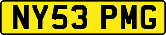 NY53PMG