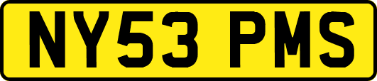 NY53PMS