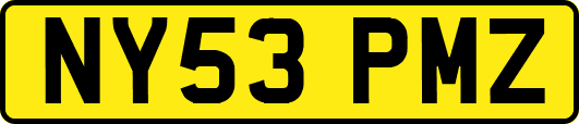 NY53PMZ