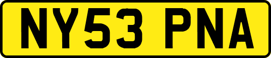 NY53PNA