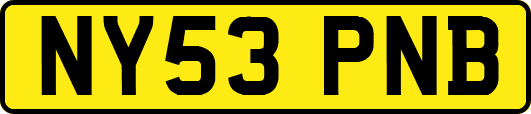 NY53PNB
