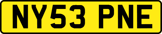 NY53PNE