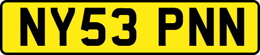 NY53PNN