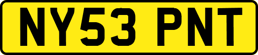 NY53PNT