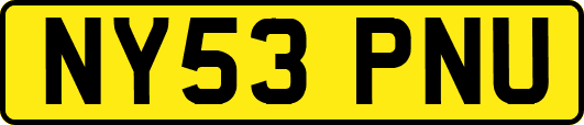 NY53PNU