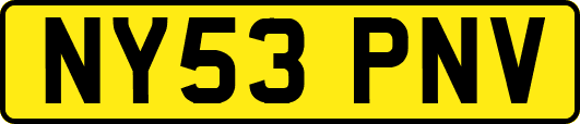 NY53PNV