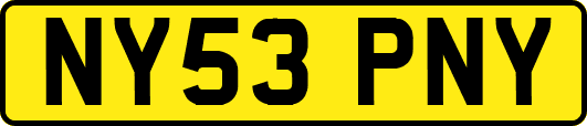 NY53PNY