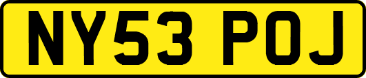 NY53POJ