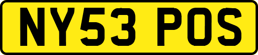 NY53POS