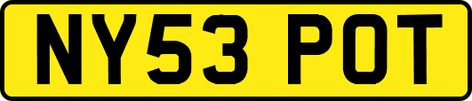 NY53POT
