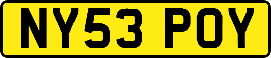 NY53POY