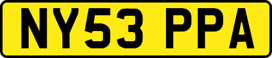 NY53PPA