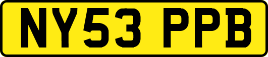 NY53PPB