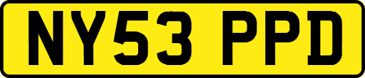 NY53PPD