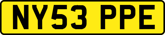 NY53PPE