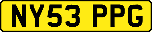 NY53PPG