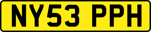 NY53PPH