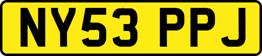 NY53PPJ