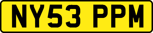 NY53PPM