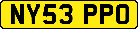 NY53PPO