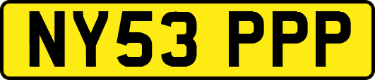 NY53PPP