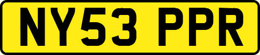 NY53PPR