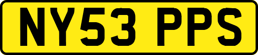 NY53PPS