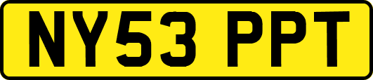 NY53PPT