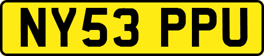 NY53PPU