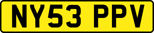 NY53PPV