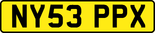 NY53PPX