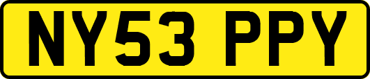 NY53PPY