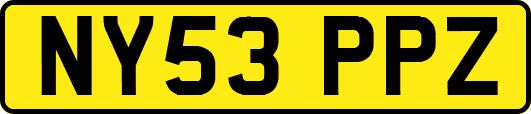 NY53PPZ