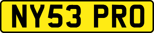 NY53PRO