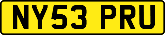 NY53PRU