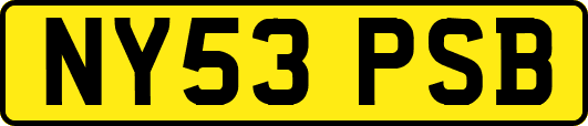 NY53PSB