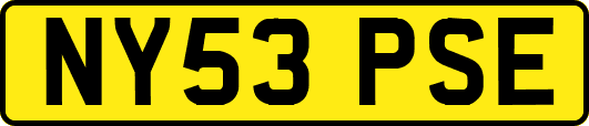 NY53PSE