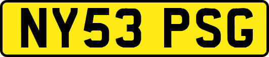 NY53PSG