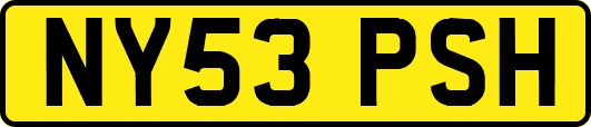 NY53PSH