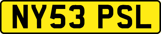 NY53PSL
