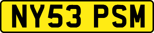 NY53PSM