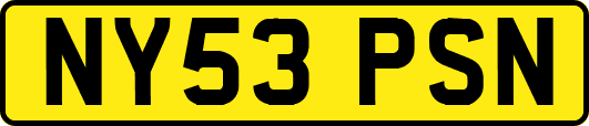 NY53PSN