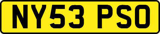 NY53PSO