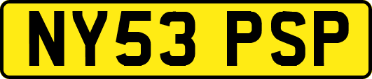 NY53PSP