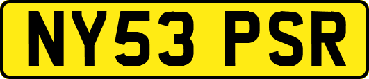 NY53PSR