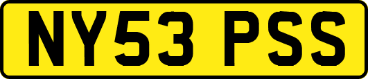 NY53PSS