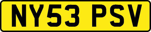 NY53PSV