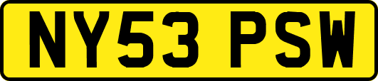 NY53PSW