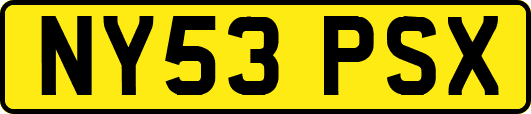 NY53PSX