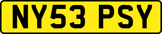 NY53PSY